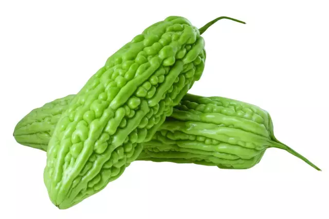 kugua-002.jpg