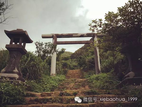 半晴半雨 十天九夜之台湾风物志 三 平溪 金瓜石 九份 那些金光闪耀的年代 台湾大村旅行 最靠谱的旅行朋友圈