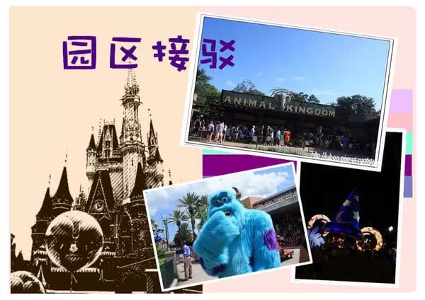 奥兰多自助游图片