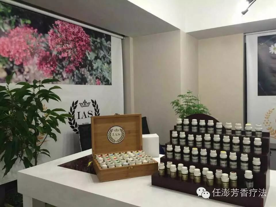 芊柏集上海芳香疗法教学中心欢迎你们 第 10 张