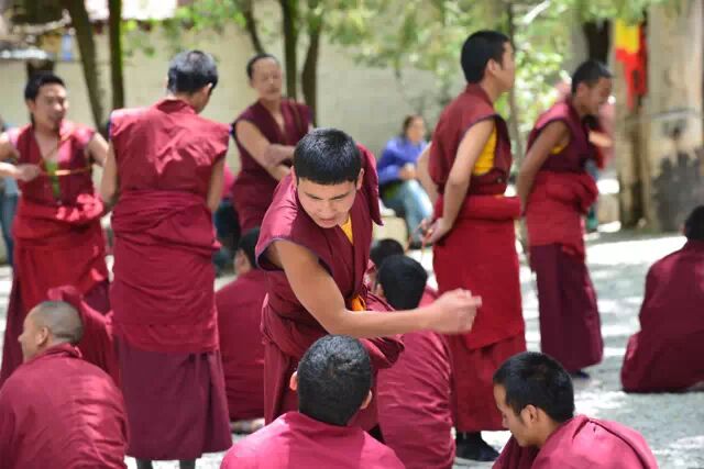 西藏游记第十一天：回到拉萨