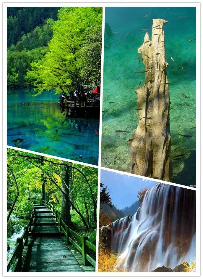 https://mmbiz.qlogo.cn/mmbiz/V0LjuKKqzRt1GTktzY7WtdB7JQDXhvMbG2W2n1ibm6icY1Sntdxo5R1PFgj17cxDEdLRQRwzyXftXznVaBItZBCw/0?wx_fmt=jpeg