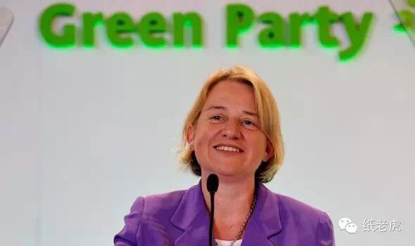 腐国肿么了&mdash;英国2015大选分析