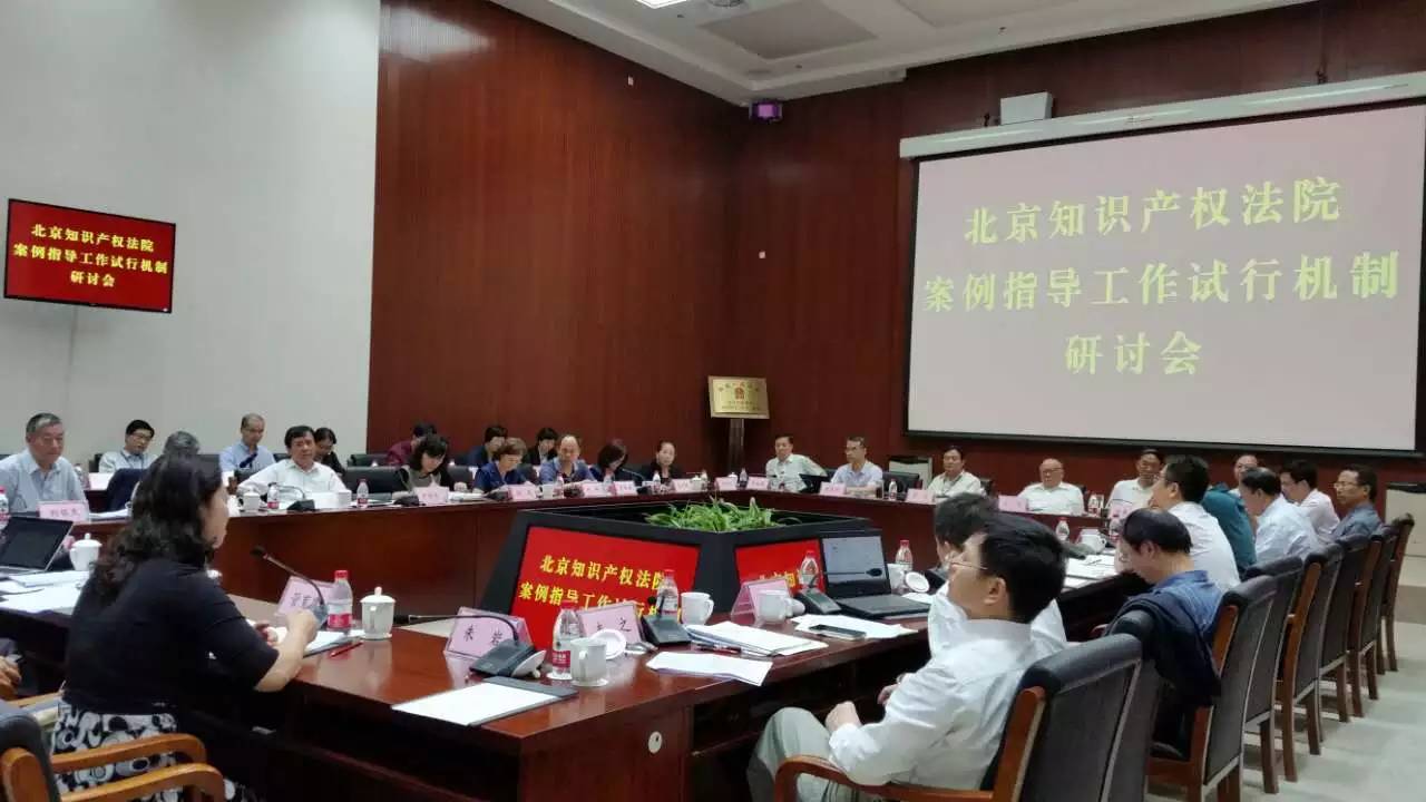 中国特色知识产权案例指导制度建设研讨会在京举行