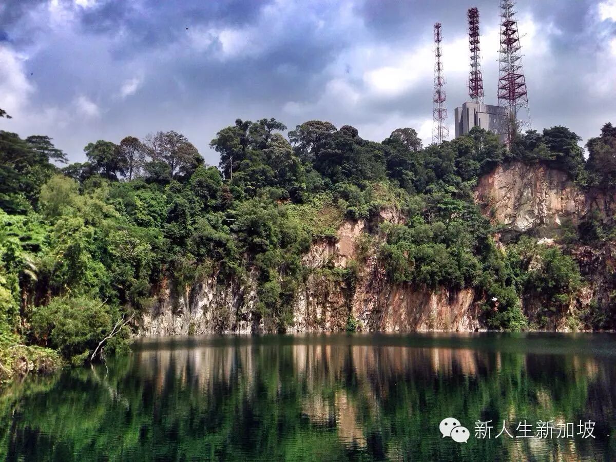 探秘世界仅存的原始森林新加坡武吉知马山