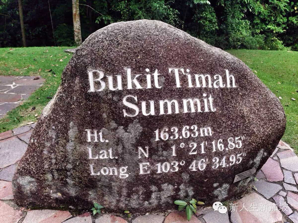 探秘世界仅存的原始森林新加坡武吉知马山