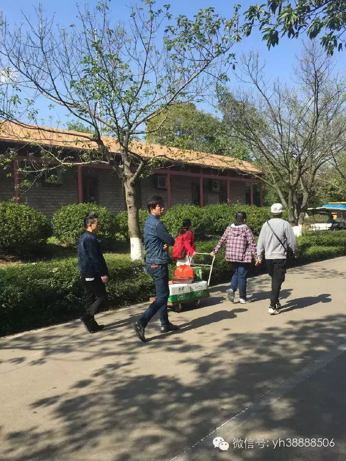 艺鸿装饰大夫山一日游(图3)