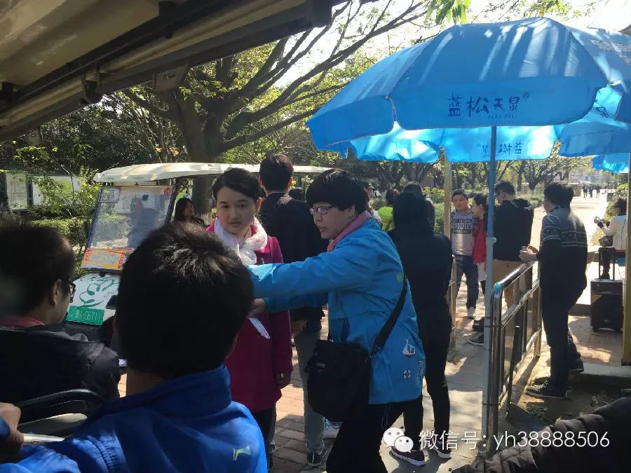 艺鸿装饰大夫山一日游(图5)