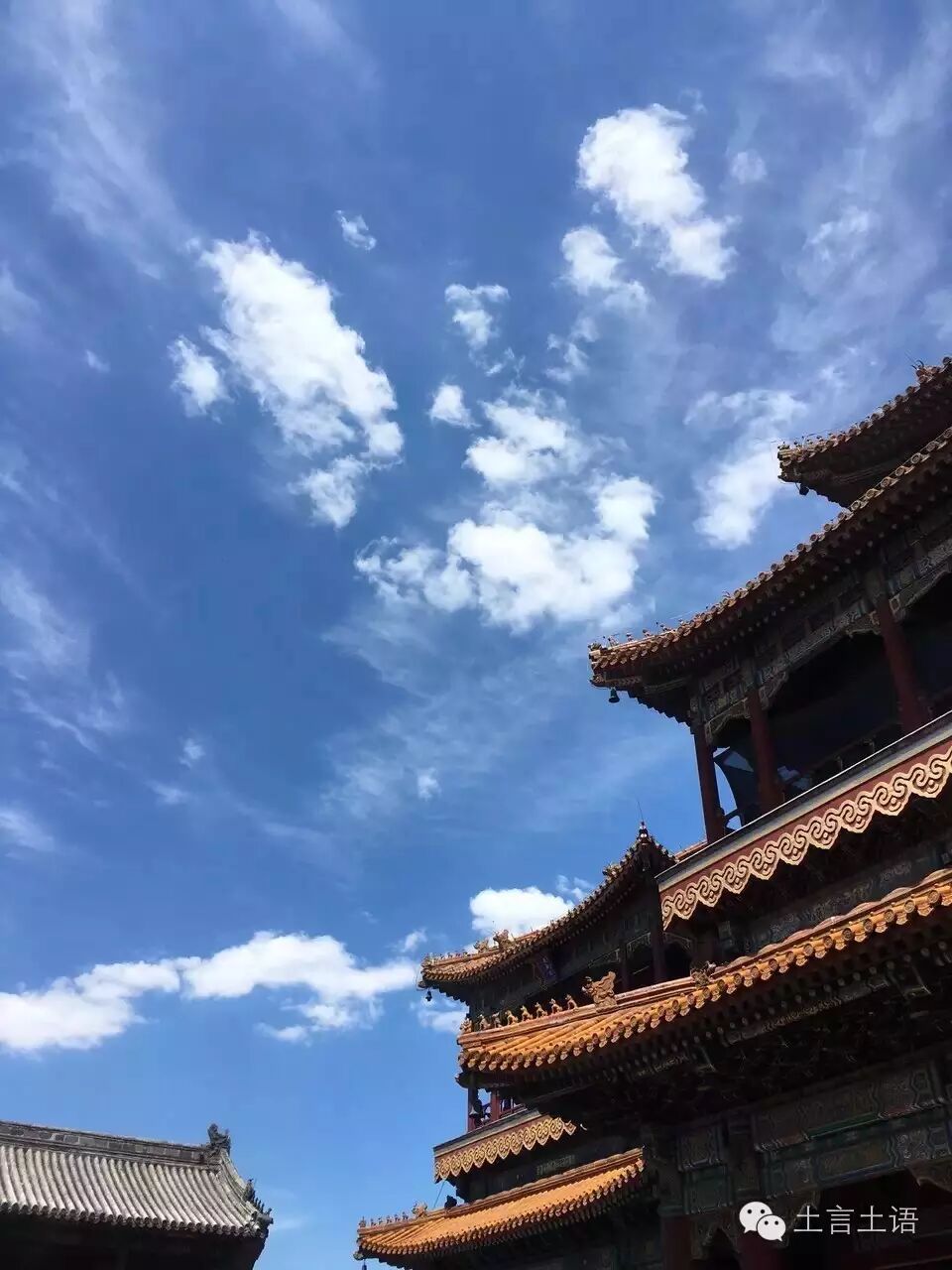 国有划拨建设用地使用权人改变土地用途该如何处理？如何处罚？