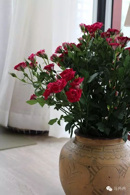 【温柔的疗愈】我在“原地”坐下不再逃，痛苦却消散了