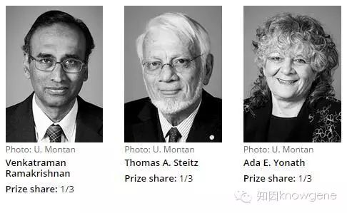 请输入图片名称