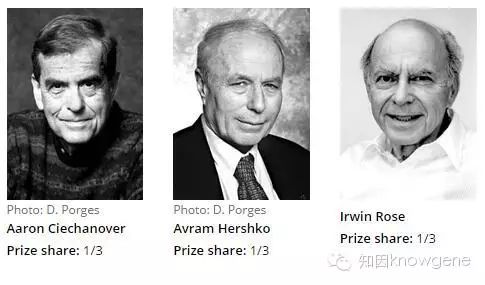 请输入图片名称