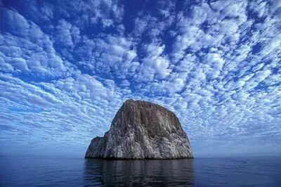 荣格：潜意识的过去与未来