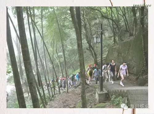 海川紙業登黃山