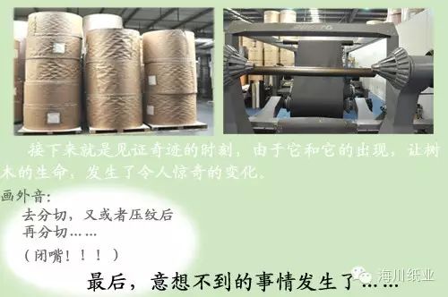 海川紙業尚質紋面系列