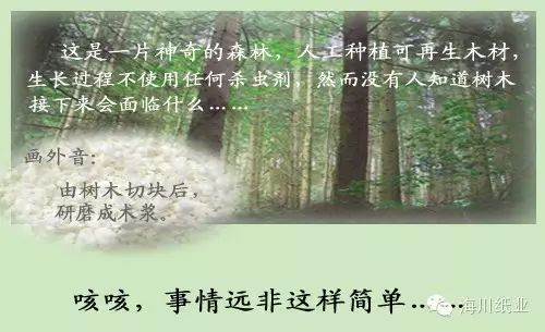 海川紙業尚質紋面系列