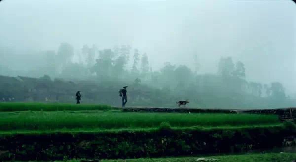 马晓晨：那山那人那狗 <wbr>