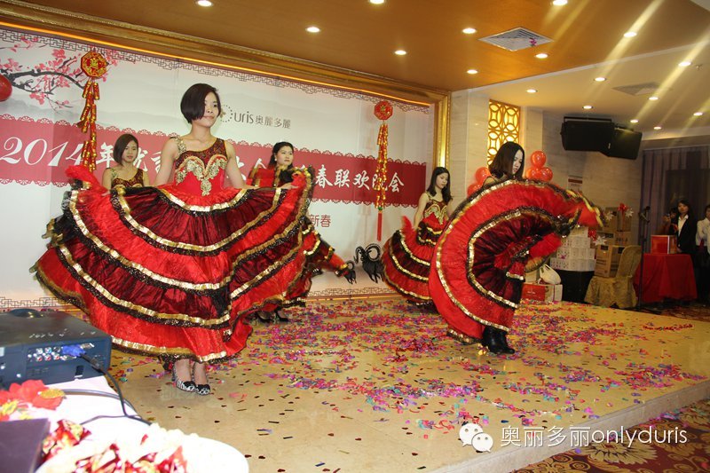  奥丽多丽迎春联欢晚会取得圆满成功！(图16)