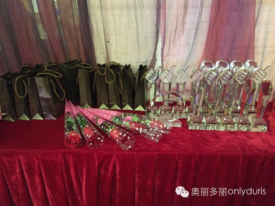  奥丽多丽迎春联欢晚会取得圆满成功！(图11)