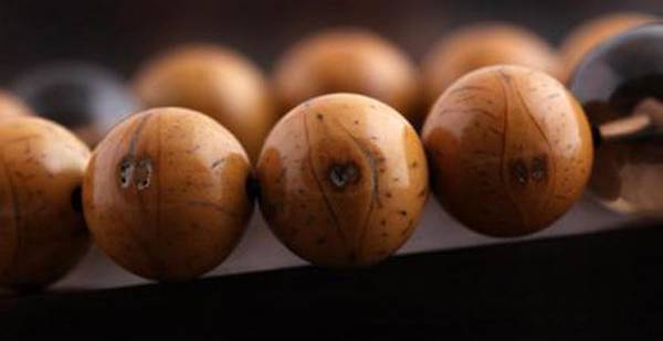 菩提子的前世今生，你知道多少？