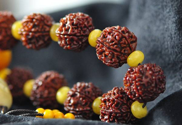 菩提子的前世今生，你知道多少？