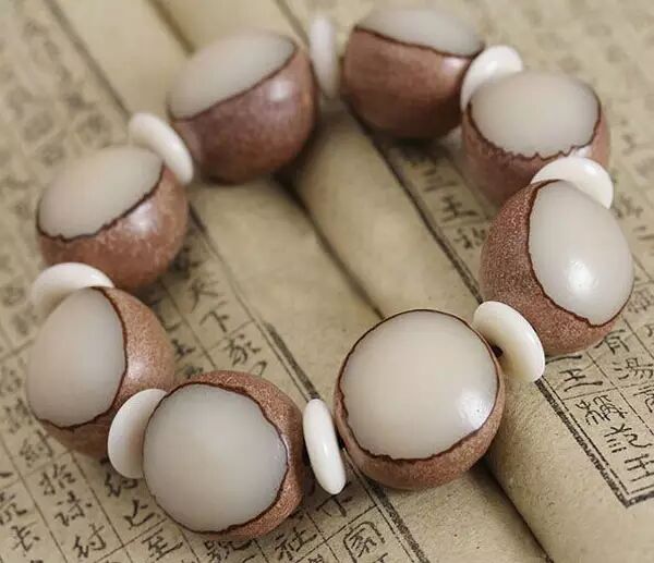 菩提子的前世今生，你知道多少？