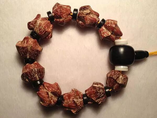 菩提子的前世今生，你知道多少？