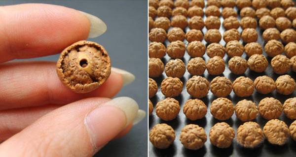 菩提子的前世今生，你知道多少？