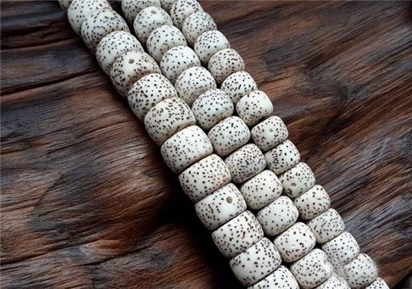 菩提子的前世今生，你知道多少？