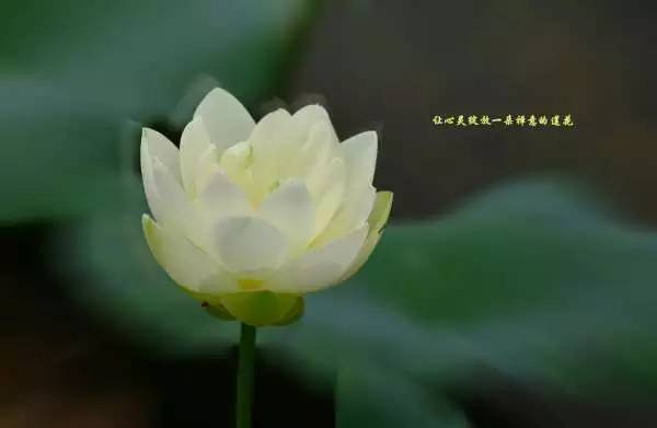 46e14f8de4f42acf654e78d65effce7cb0f89407167dc-p4MN5l_fw658.jpg