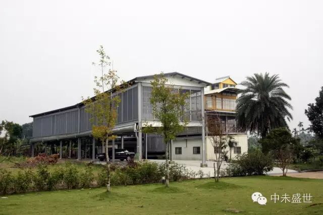 台湾高手：林氏三兄弟信鸽传奇 图9