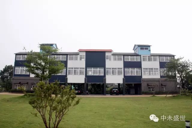 台湾高手：林氏三兄弟信鸽传奇 图8