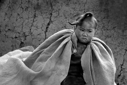 《泪》，让人心碎的故事，让人肃然起敬的“活下去的倔强”！