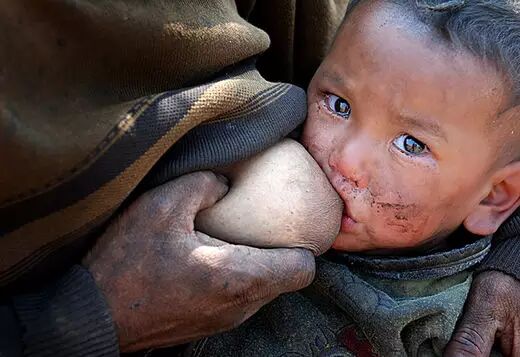 《泪》，让人心碎的故事，让人肃然起敬的“活下去的倔强”！