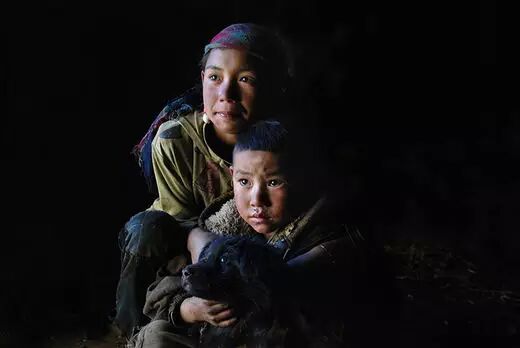 《泪》，让人心碎的故事，让人肃然起敬的“活下去的倔强”！