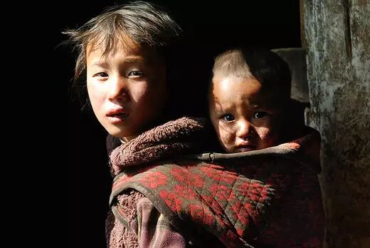 《泪》，让人心碎的故事，让人肃然起敬的“活下去的倔强”！