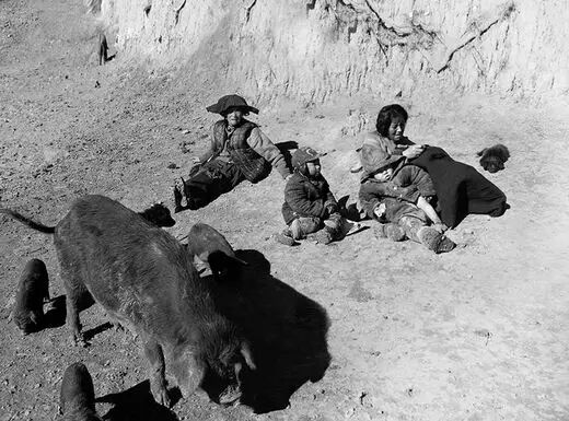 《泪》，让人心碎的故事，让人肃然起敬的“活下去的倔强”！