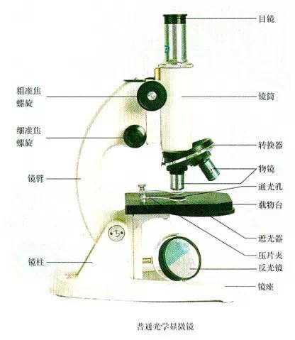 生物会考需要熟记的图例和实验的结果介绍