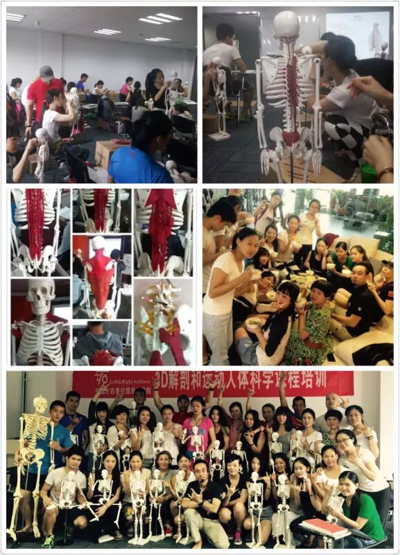 【世界很大，中国造】中国籍导师首次登陆AFC大会