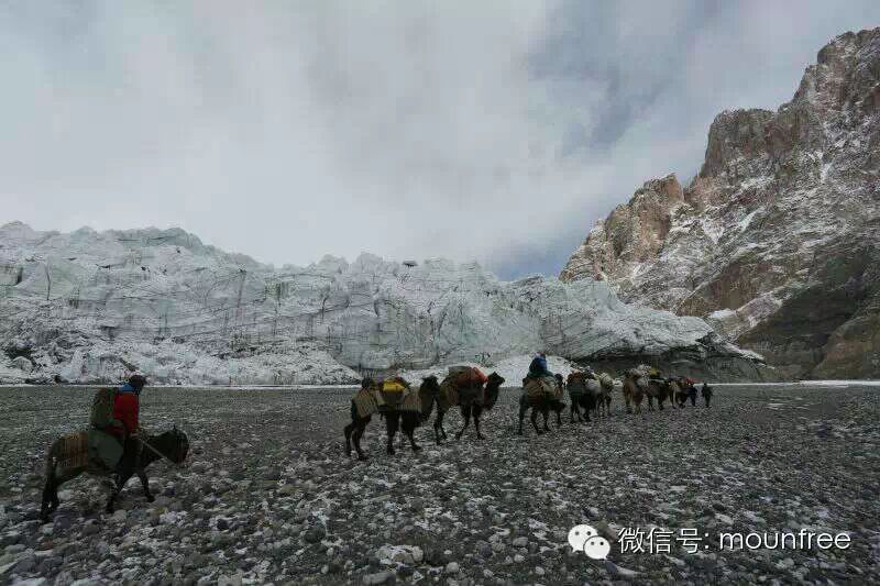 【蔓峰雪山徒步系列】顶级线路——穿越喀喇昆仑 <wbr>克勒青河谷