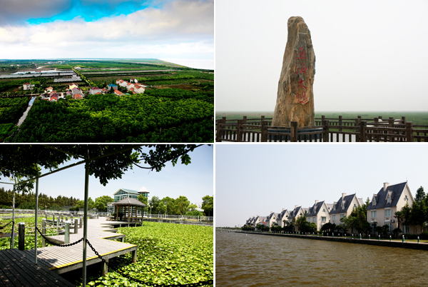 【美味途说】唯独无花不竞芳 <wbr>累累甜蜜请君尝 【美味途说】唯独无花不竞芳 <wbr>累累甜蜜请君尝