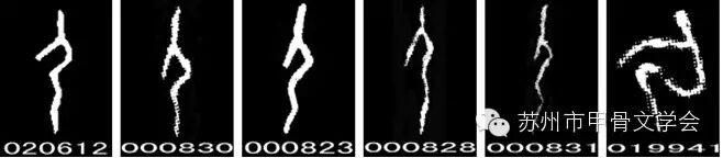 【姬长明】甲骨文字密码解析系列之五“尸”