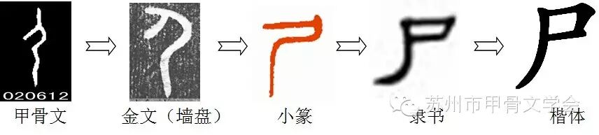 【姬长明】甲骨文字密码解析系列之五“尸”