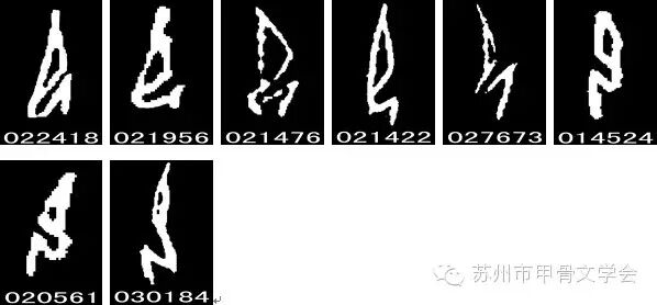 【姬长明】甲骨文字密码解析系列之三“卩”