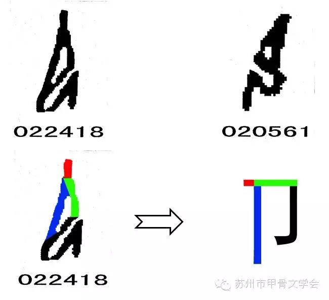 【姬长明】甲骨文字密码解析系列之三“卩”