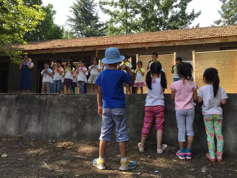 必须要庆祝的事——西安华德福学校新校址确定了