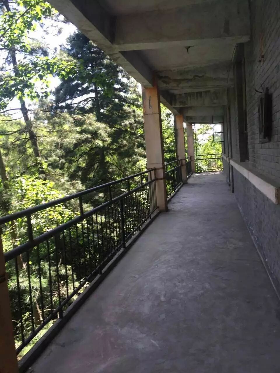 必须要庆祝的事——西安华德福学校新校址确定了