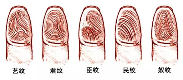 ☞ <wbr><wbr>斗多易患高血压？指纹竟能暗示一生健康