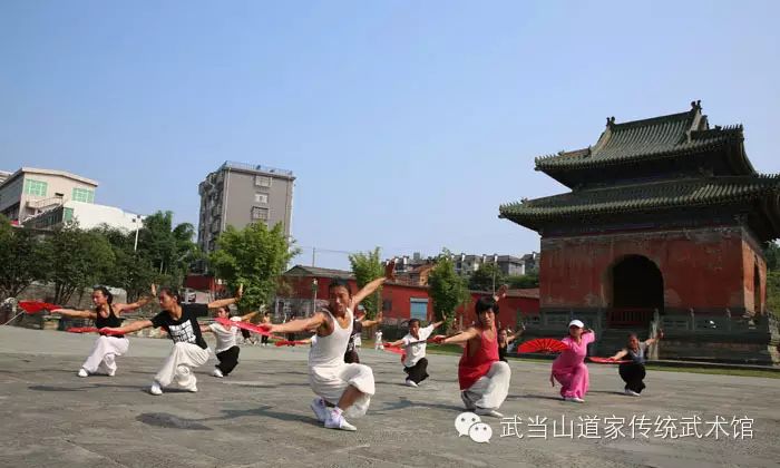 [多图]萌物当道,小狗MIMI的故事!