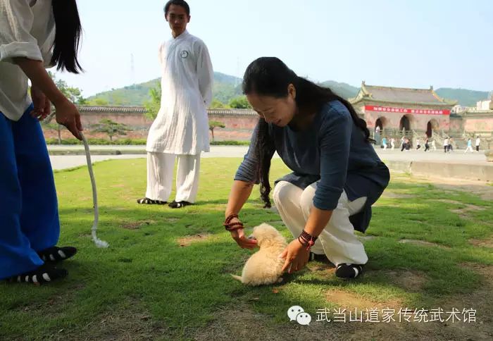 [多图]萌物当道,小狗MIMI的故事!